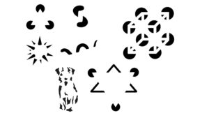 Pragnanz Yasaları Zihnin Düzen Arayışı başlık