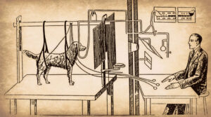 pavlov-experiment (1) (1)